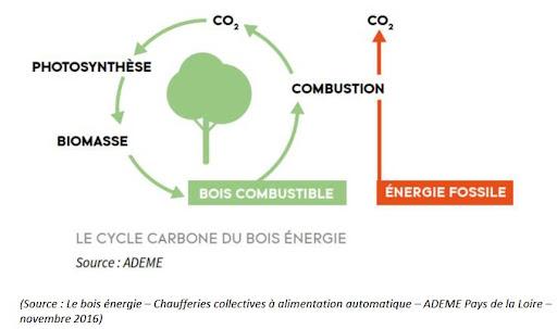 Le Cycle Carbone Bois Énergie