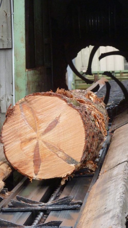 ETABLISSEMENTS HAMON